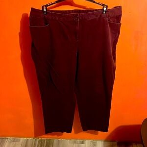 Lane Bryant size 24 Maroon Pants